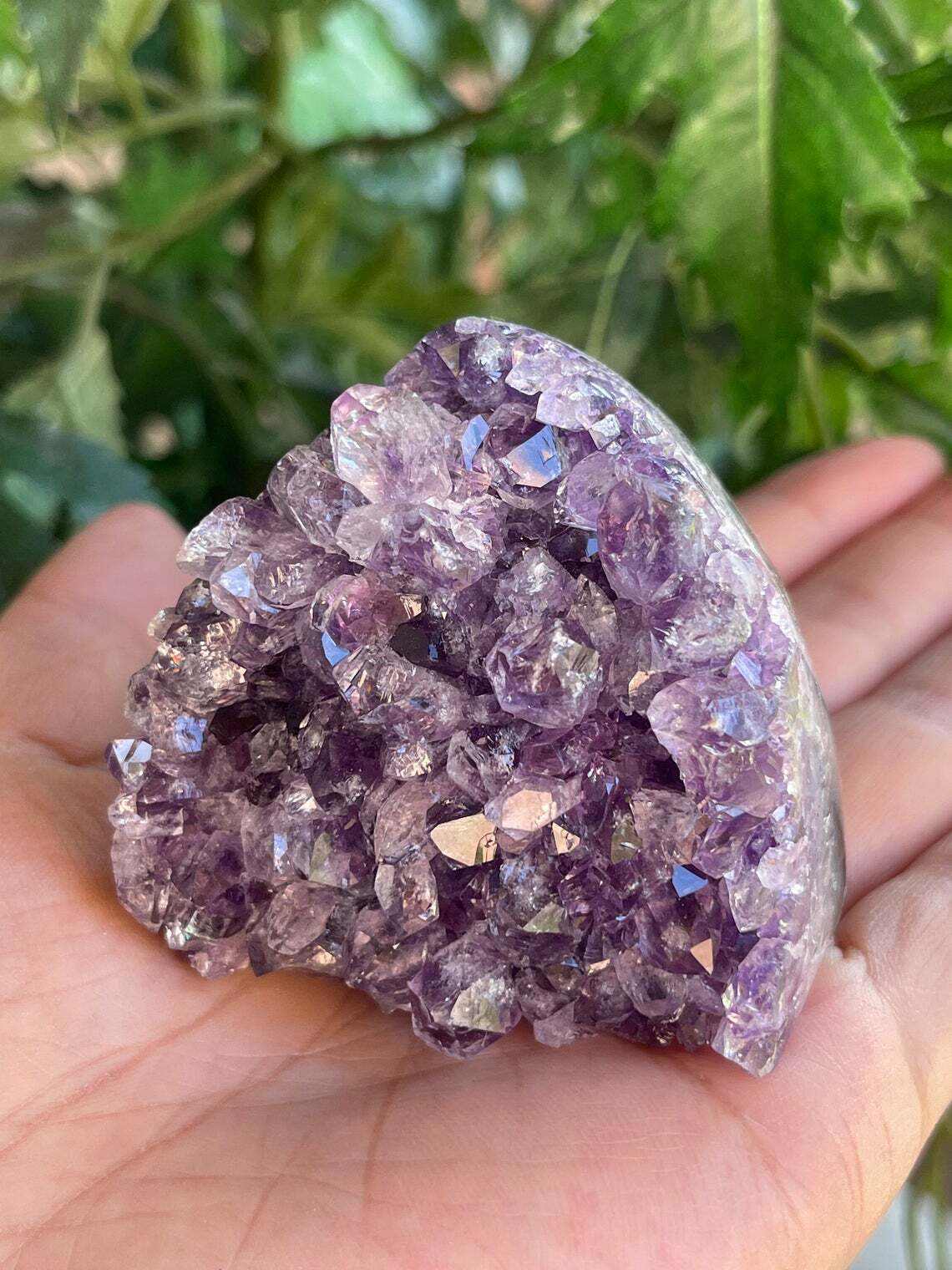 Finely Polished Uruguay Amethyst Cluster Crystal Geode, Pick a Size: 0.5 to 4 Lb