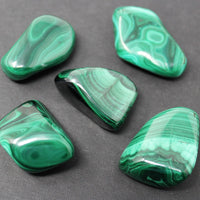 5 MEDIUM Malachite Tumbled Stone (Crystal Healing Reiki Gemstone Metaphysical)