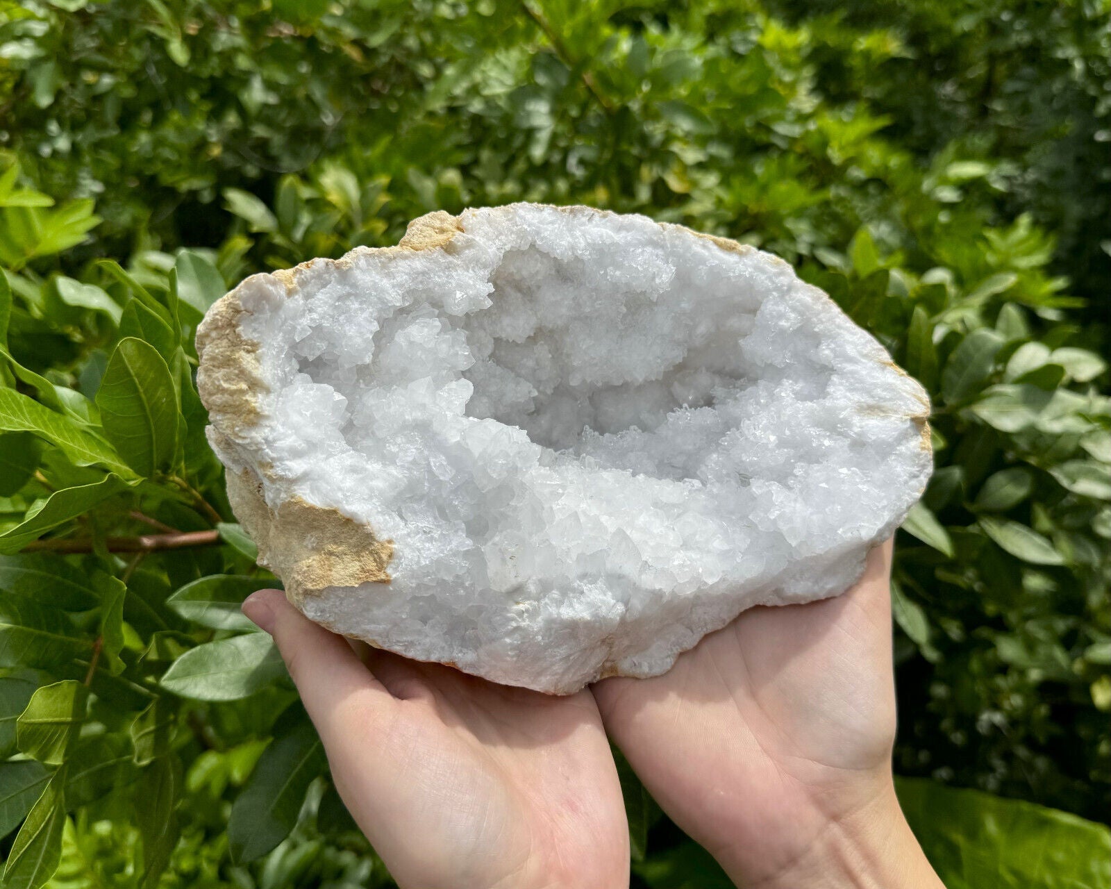 MASSIVE Sugar Quartz Geodes - Natural Crystal Geode Specimens From Morocco