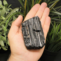 XL JUMBO Black Tourmaline PREMIUM EXTRA A GRADE Shiny Rough Rod Log (12 - 15 oz)