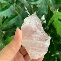 Large Rose Quartz Rough Natural Stones, 2-3" Raw Rose Quartz,Wholesales Bulk Lot