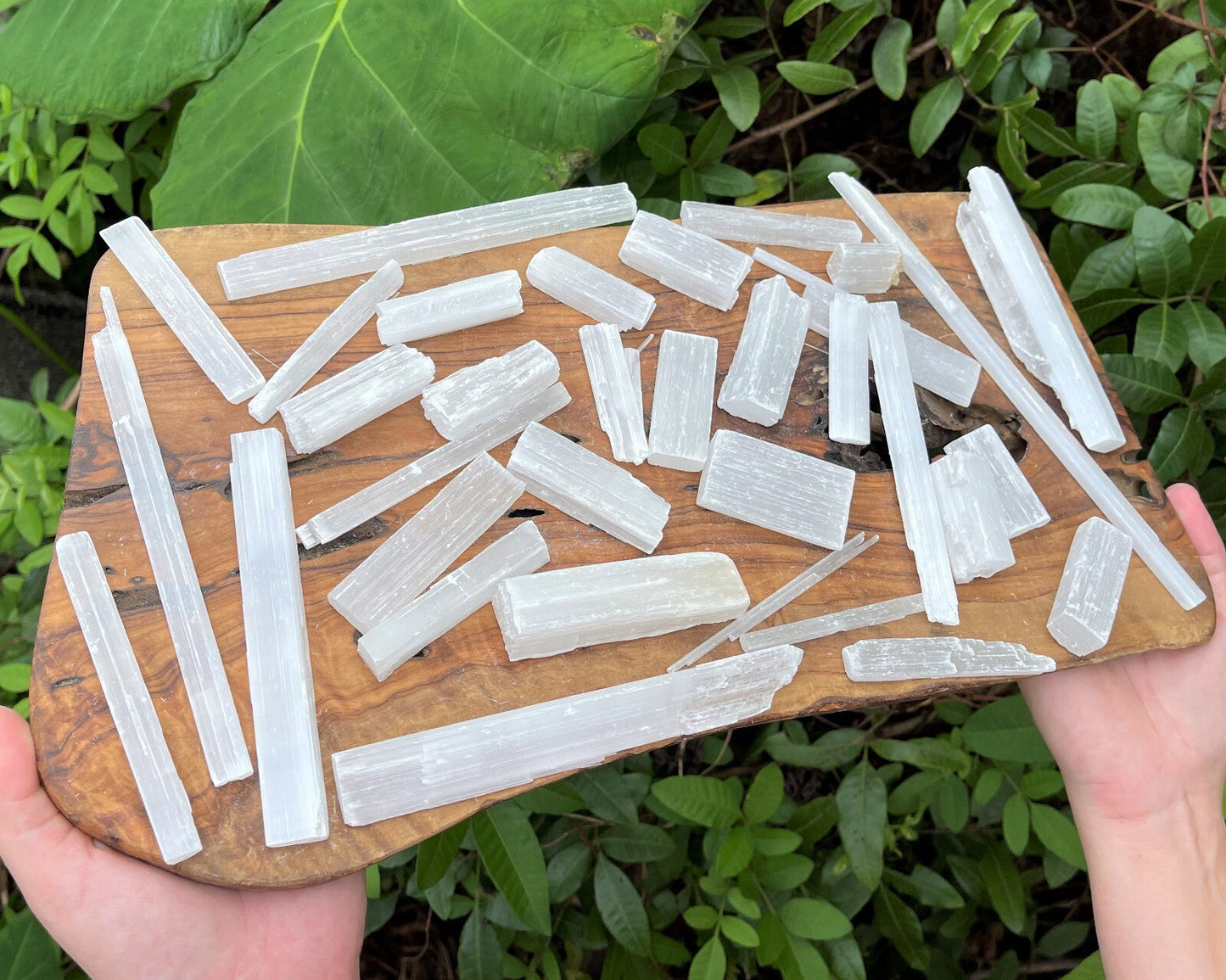 BULK 1/2 lb Lot Selenite Logs Crystal Sticks Wand Blades Shardes CLEARANCE 8 oz