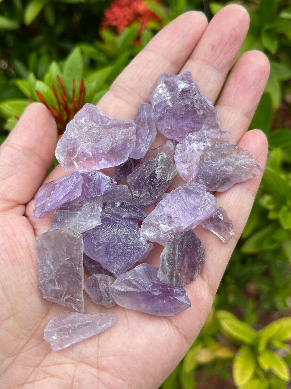 Grade A++ Small Raw Amethyst, 0.5-1" Natural Amethys Chip, Wholesale Bulk Lot