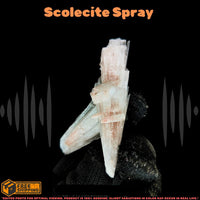 Rare 20g Scolecite Spray Crystal Zeolite Mineral Specimen from India 7x4 cm