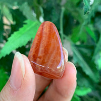 1/2 Lb Lot Tumbled Stones, 0.75-1.25" Crystal Healing Stones, Choose Stone Type