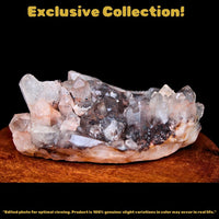 Phantom Quartz Crystal 224g 10x6 cm Raw Healing Stone Collector Mineral India