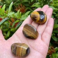 Grade A++ Gold Tiger Eye Tumbled Stones, 1"-1.5" Tumbled Tiger Eye,Pick How Many