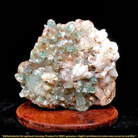 826g Green Himalayan Clear Quartz Cluster Rare Mineral Specimen from India