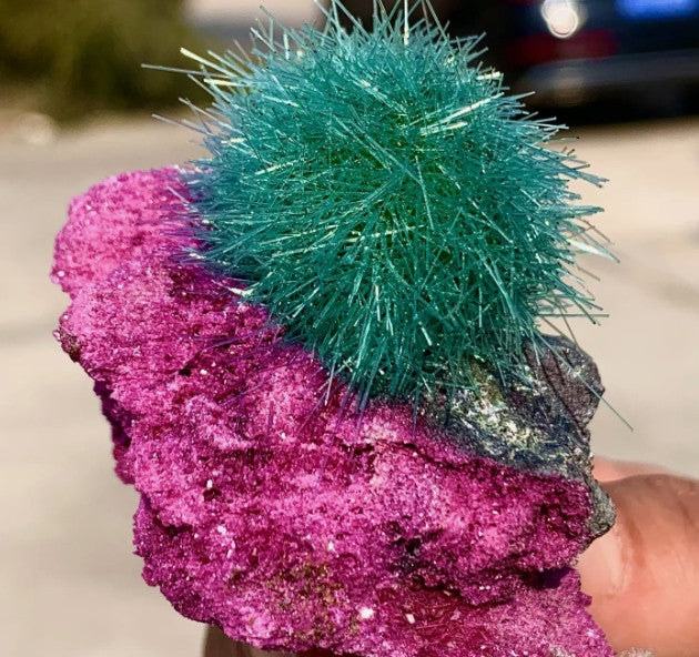 Dandelion Zeolite Quartz Crystal Cluster Mineral  Quartz Crystal Specimens Decor