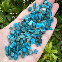 Grade A++ Apatite Semi Tumbled Gemstone Mini Chips 4 - 8 mm, Wholesale Bulk Lot