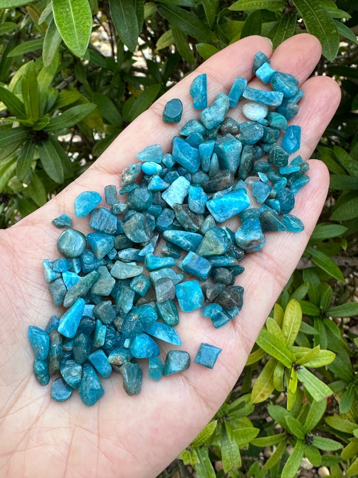 Grade A++ Apatite Semi Tumbled Gemstone Mini Chips 4 - 8 mm, Wholesale Bulk Lot