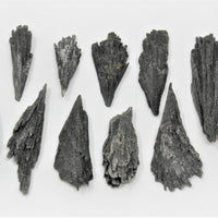 1 lb Black Kyanite Blades Fans: Natural Premium Quality Wholesale Bulk Lot 16 oz