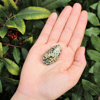 1 x Tumbled Stones : You Choose Type - Huge Range - ON SALE! (Crystal Healing)