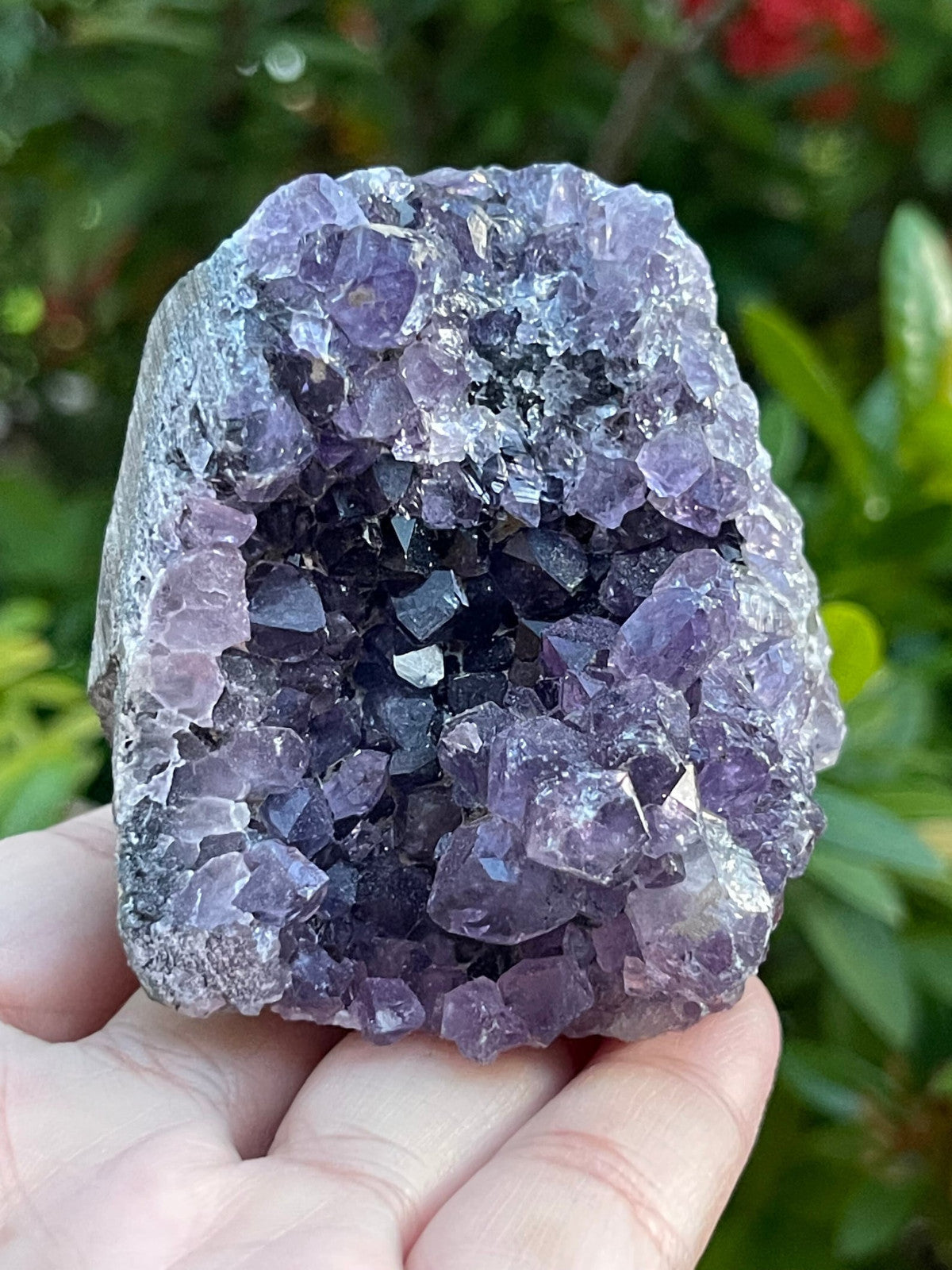 Small Uruguayan Amethyst Cluster, Amethyst Geode, Wholesale Bulk Lot