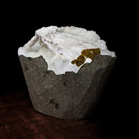 Natural Scolecite Geode Spray 156g | Zeolite Mineral Cluster from India 7x6cm