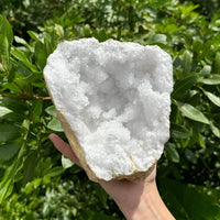 MASSIVE Sugar Quartz Geodes - Natural Crystal Geode Specimens From Morocco