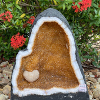 X-Large Citrine Cathedral, Citrine Geode, Honey Citrine Cluster, Pick a Weight