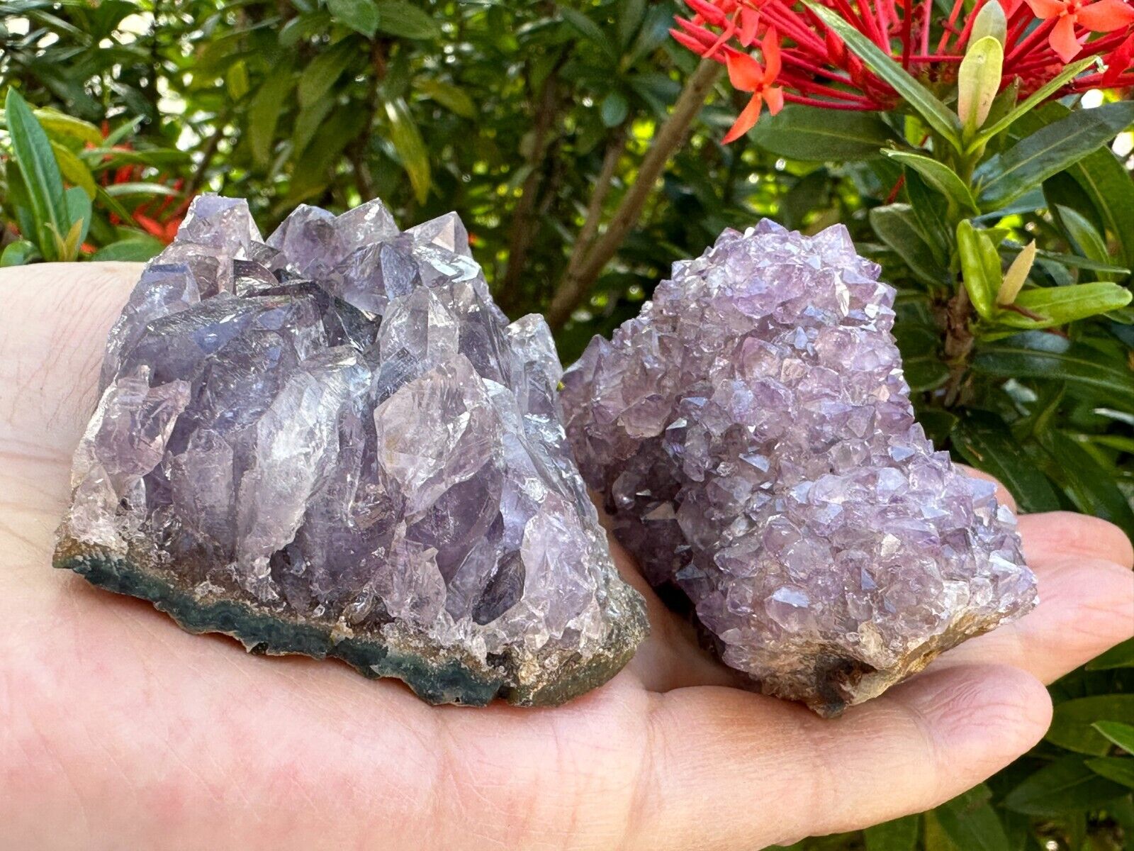 Grade A Amethyst Cluster, Amethyst Geode, Raw Amethyst Druze, Wholesale Bulk Lot