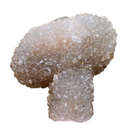 Rare Amethyst Flower Quartz Cluster 260g Natural Mineral Specimen India