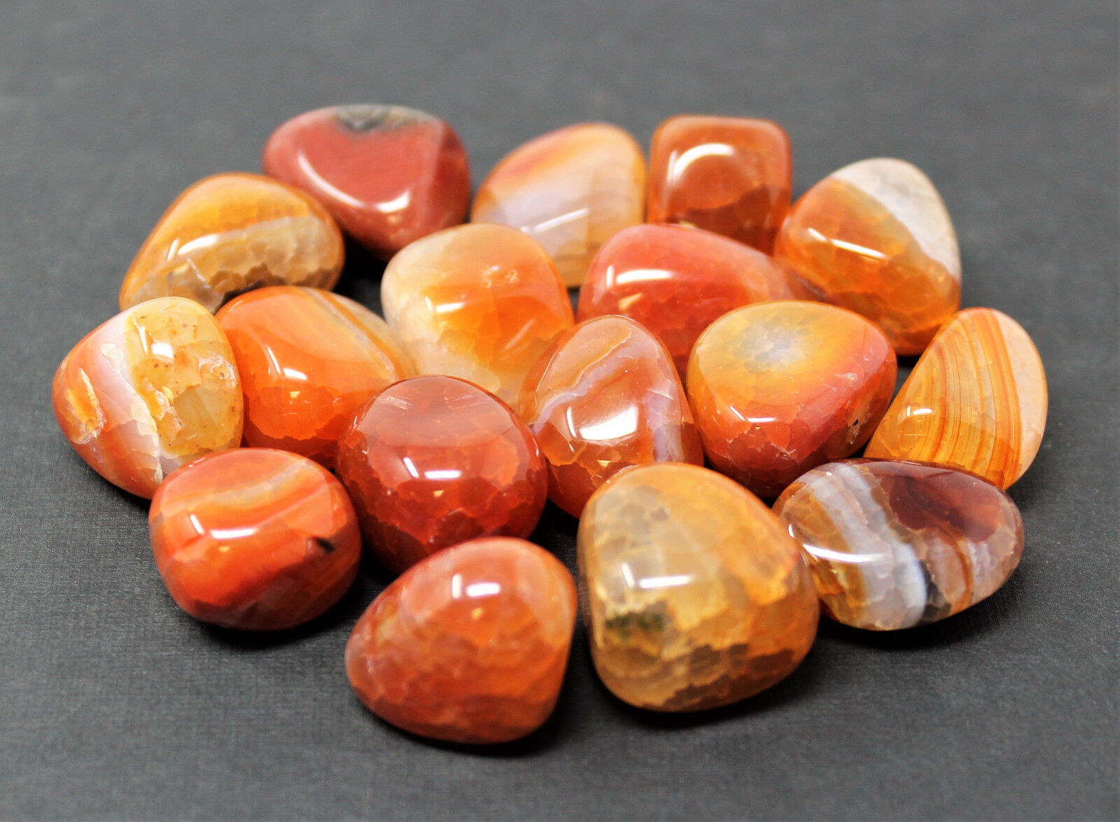 8 oz or 1 lb Tumbled Stones Bulk Lots: Huge Choice (Crystal Healing, Bulk Lots)