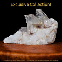 Rare Phantom Quartz Crystal 42g Ghost Inclusion Specimen India