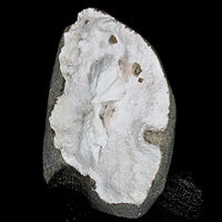 196g Mordenite Scolecite Geode Rare Crystal Needle Cluster from India