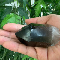 Extra Large Natural Smoky Quartz Crystal Points, 2-3 Inches Smoky Quartz Point