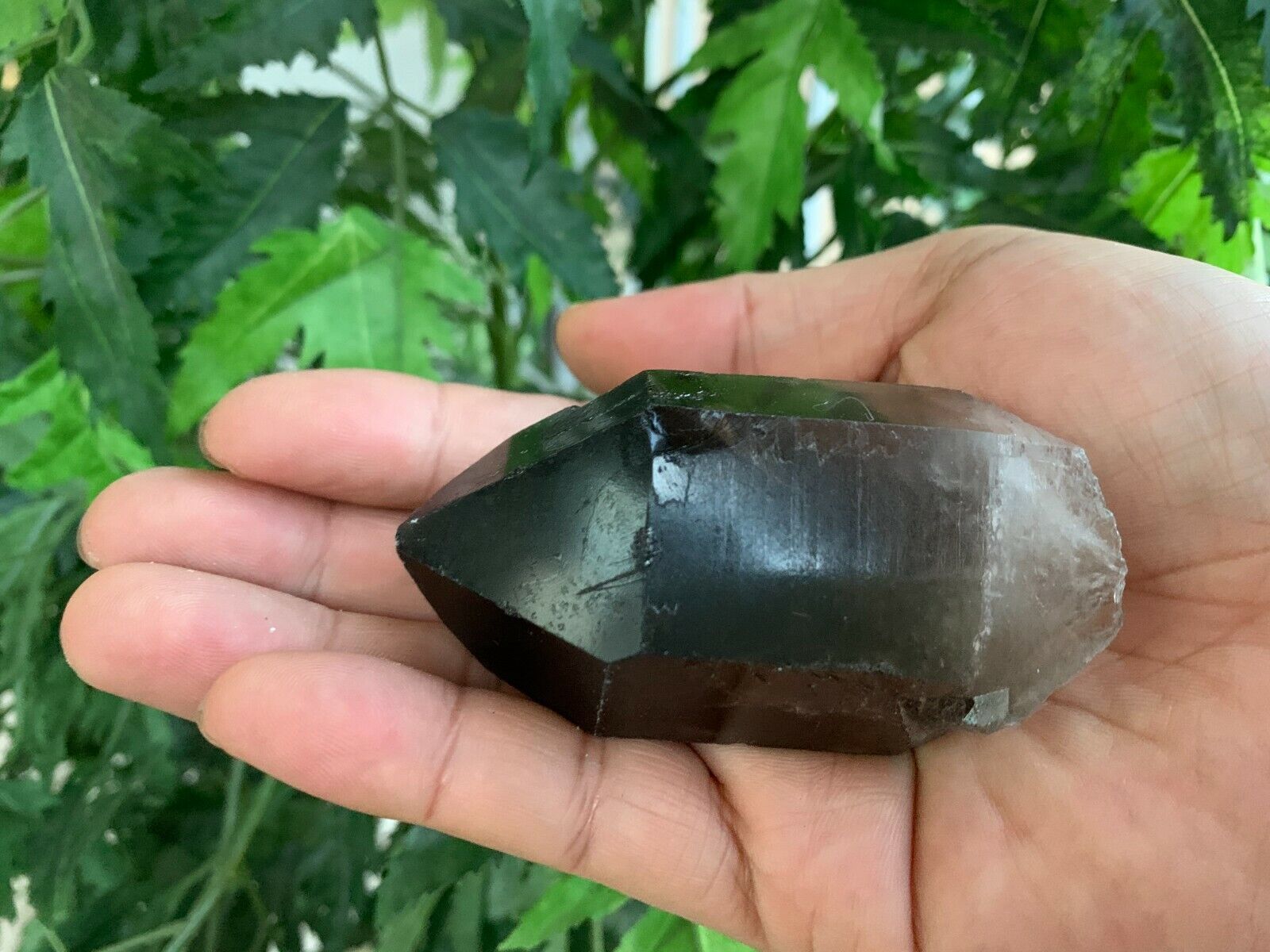 Extra Large Natural Smoky Quartz Crystal Points, 2-3 Inches Smoky Quartz Point