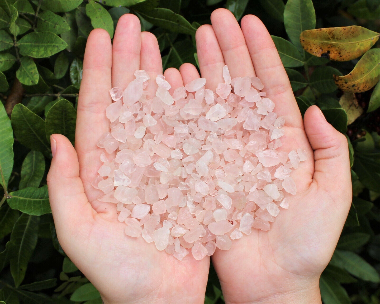 Rose Quartz Semi Tumbled Gemstone Mini Chips 6-8 mm, 'A' Grade Wholesale Lots