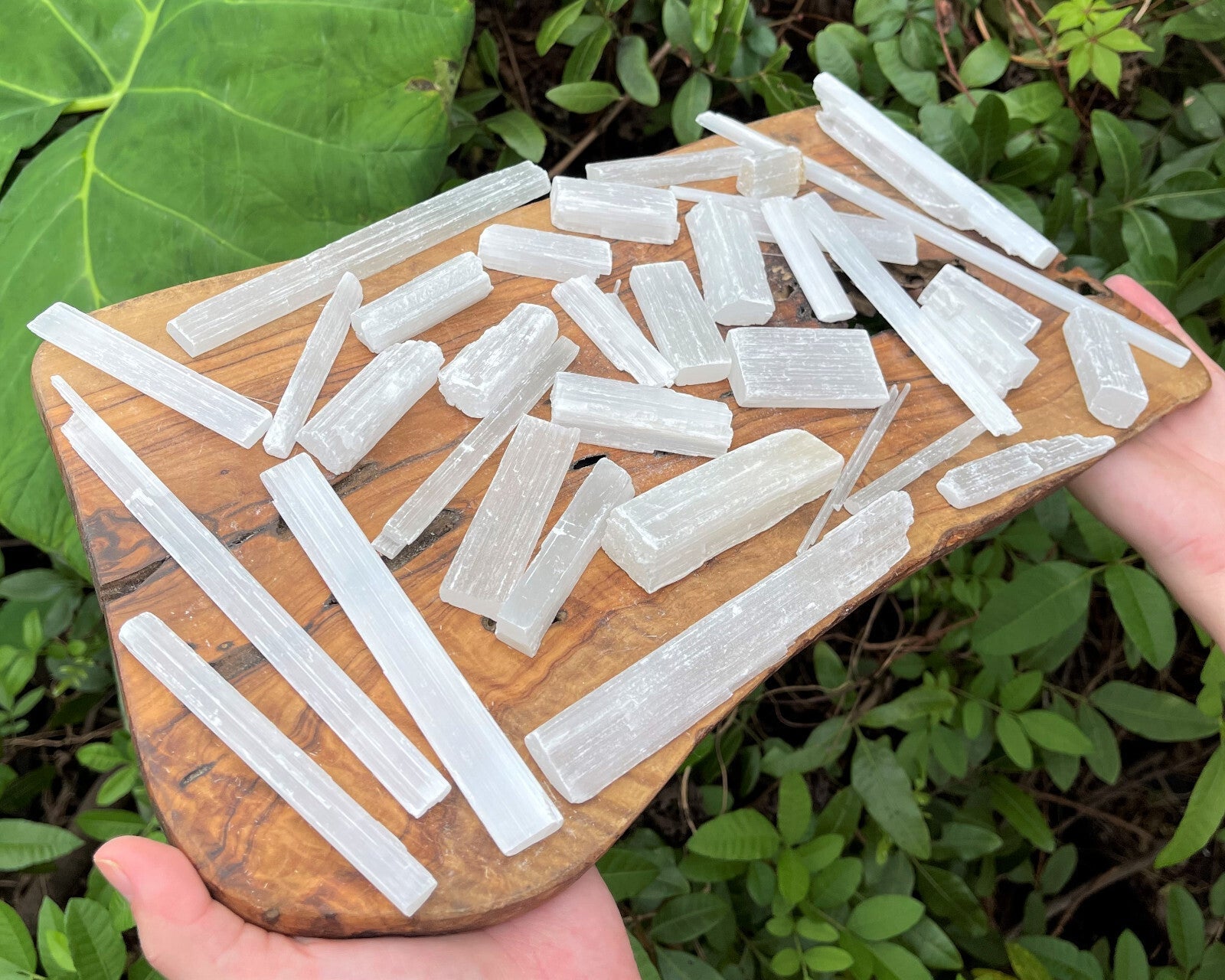 BULK 1/2 lb Lot Selenite Logs Crystal Sticks Wand Blades Shardes CLEARANCE 8 oz