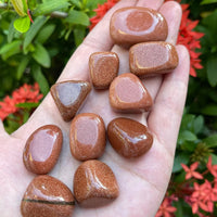 1/2 Lb Lot Tumbled Stones, 0.75-1.25" Crystal Healing Stones, Choose Stone Type