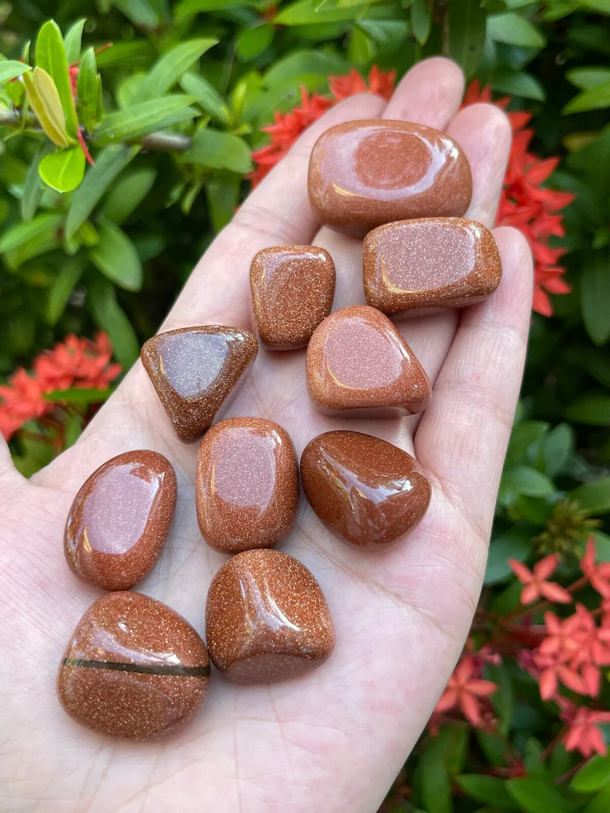 1/2 Lb Lot Tumbled Stones, 0.75-1.25" Crystal Healing Stones, Choose Stone Type