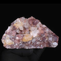 Phantom Quartz Cluster 510g 14x8 cm Rare Natural Crystal Healing Specimen