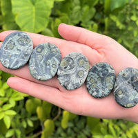 Natural Crystal Worry Stone: Choose Gemstone (Crystal Healing Pocket Stone)