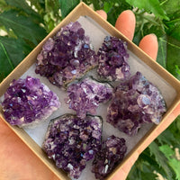 Raw Amethyst Cluster Druzy Collection Box:6-8 oz, 7 - 10 Pieces Natural Amethyst