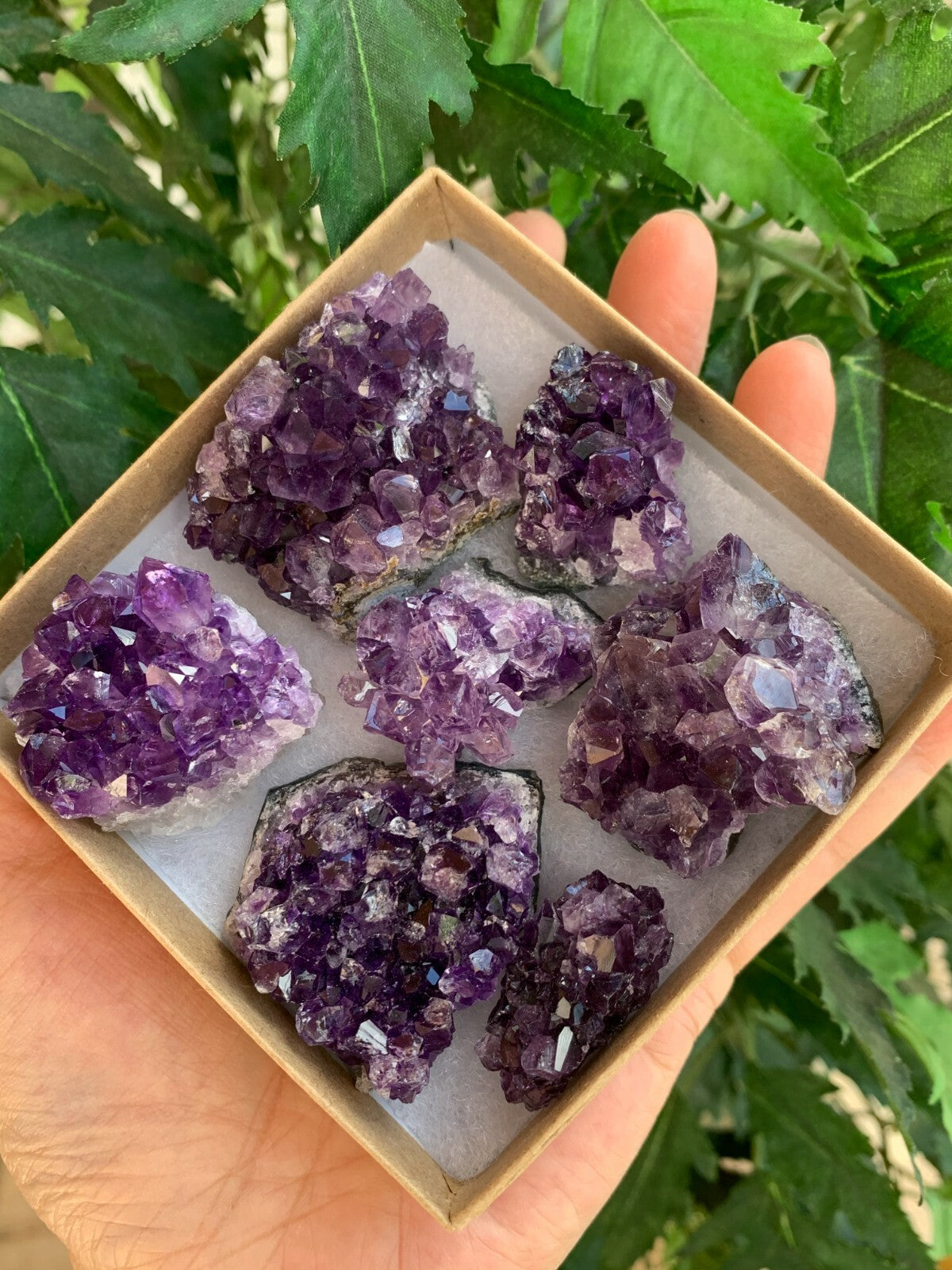 Raw Amethyst Cluster Druzy Collection Box:6-8 oz, 7 - 10 Pieces Natural Amethyst