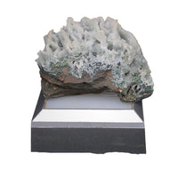 Rare Coral Chalcedony 108g Mineral Specimen India Zeolite Formation