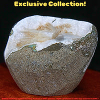 158g Natural Scolecite Geode Mineral 6x5cm High Vibration Healing Crystal Stone