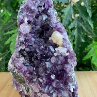Amethyst Cluster, Amethyst Geode From Uruguay Cut Base, Pick a Size
