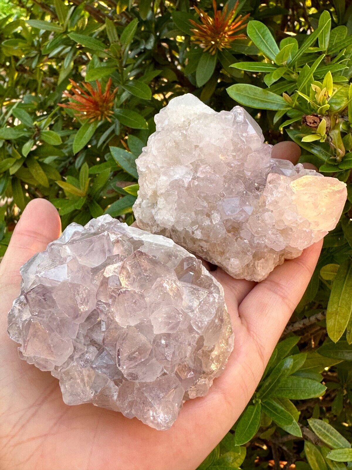 Grade A++Spirit Quartz Clusters,Natural Spirit Quartz Crystals, Porcupine Quartz