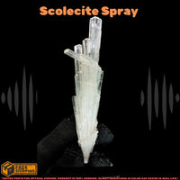 Rare 18g Scolecite Cluster Mineral Specimen India Zeolite Crystal Spray