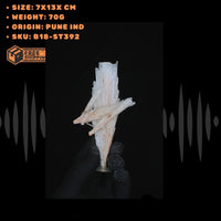 Natural Scolecite Cluster 70g White Zeolite Crystal Mineral from India