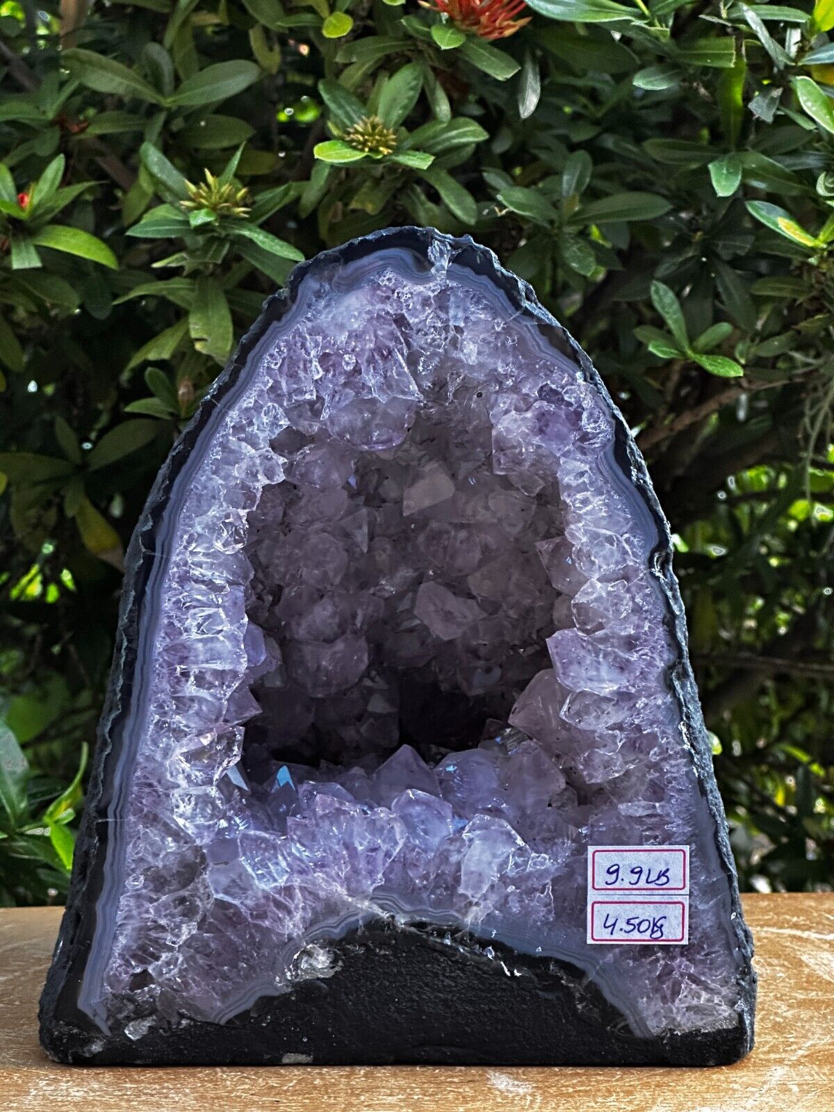 X-Large Light Purple/Gray Amethyst Cathedral, Raw Amethyst Geode, Pick a Weight
