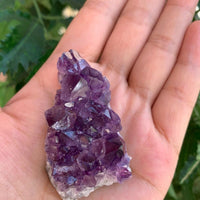 Raw Amethyst Cluster Druzy Collection Box:6-8 oz, 7 - 10 Pieces Natural Amethyst