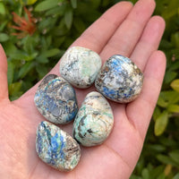 1/2 Lb Lot Tumbled Stones, 0.75-1.25" Crystal Healing Stones, Choose Stone Type