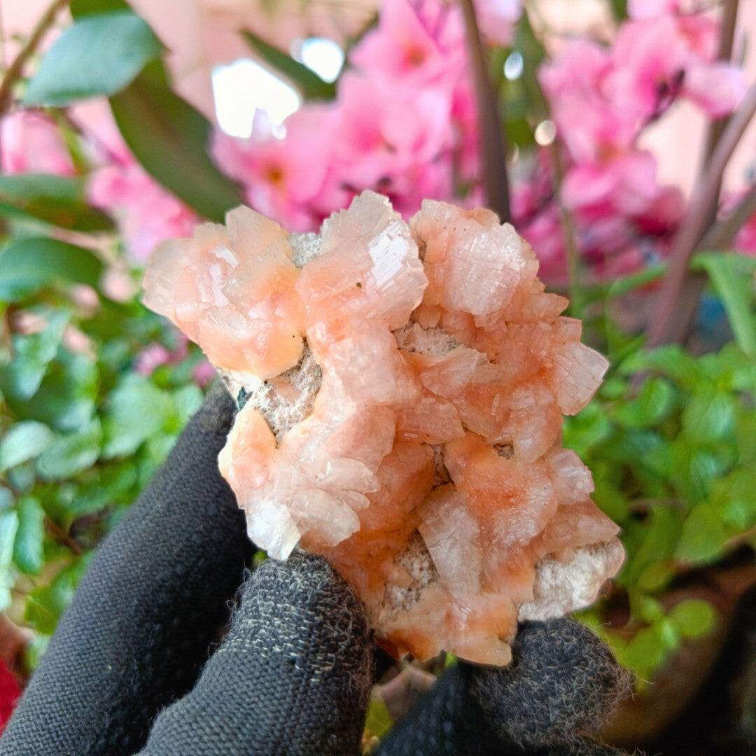 Natural Stilbite & Heulandite Healing Crystal Mineral Energy Stone 100g