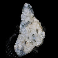 Rare 570g Apophyllite Crystal Cluster Natural Mineral Specimen India