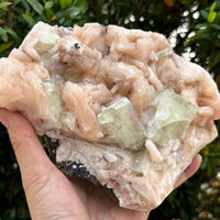 Apophyllite & Stilbite Crystal Cluster 3-8", Apophyllite Cluster with Inclusions