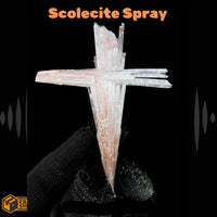 16g Rare Scolecite Spray Crystal Cluster Mineral Specimen from India