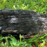 Extra Large Black Tourmaline Chunk / Rod / Log, Natural Rough Black Tourmaline